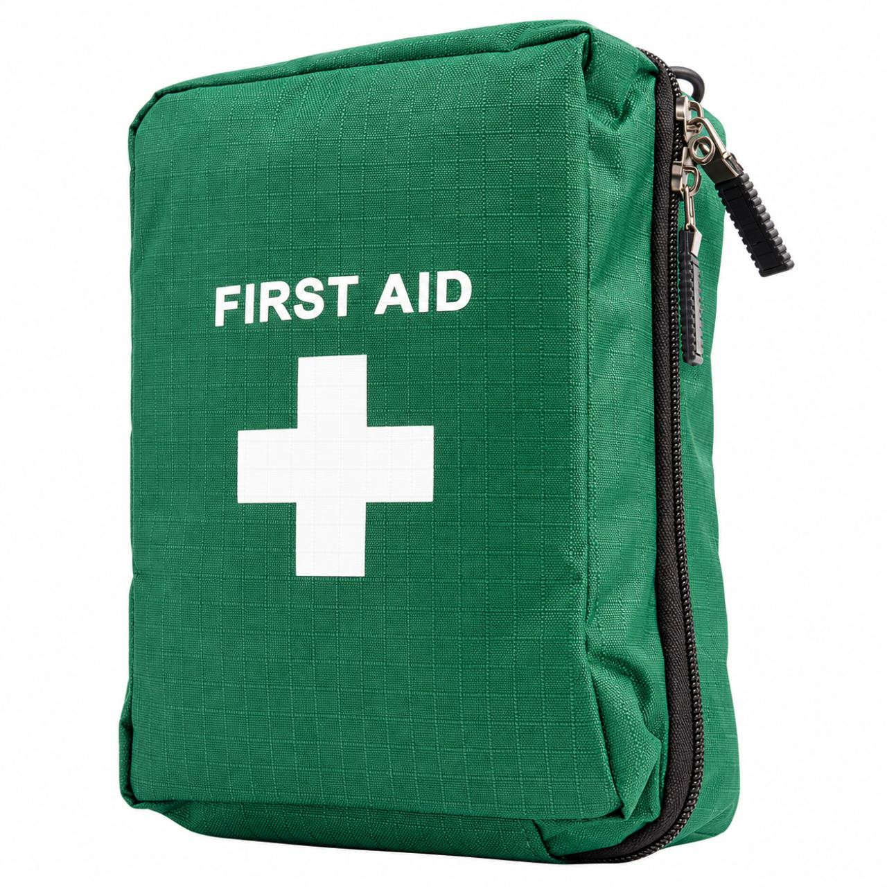 Blue Lion Travel & Motoring First Aid Kit Bag