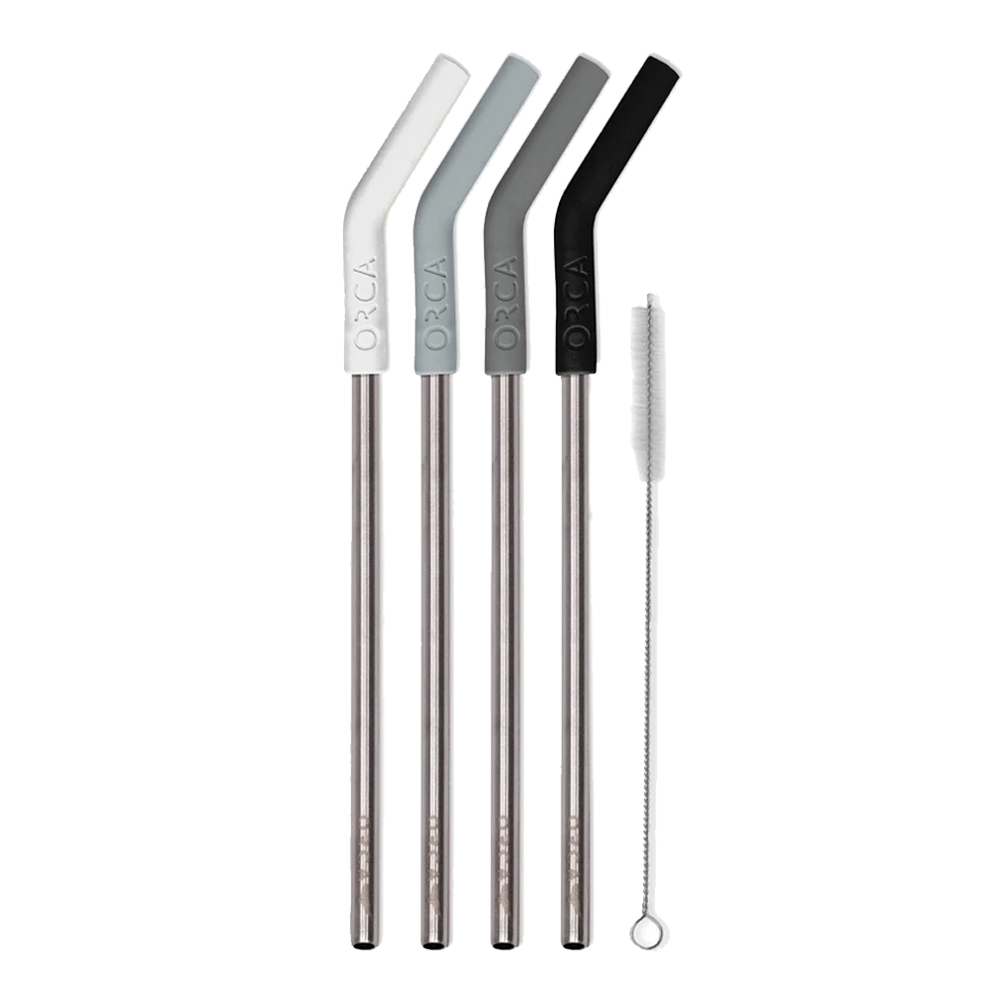 Stainless Steel Straw Set