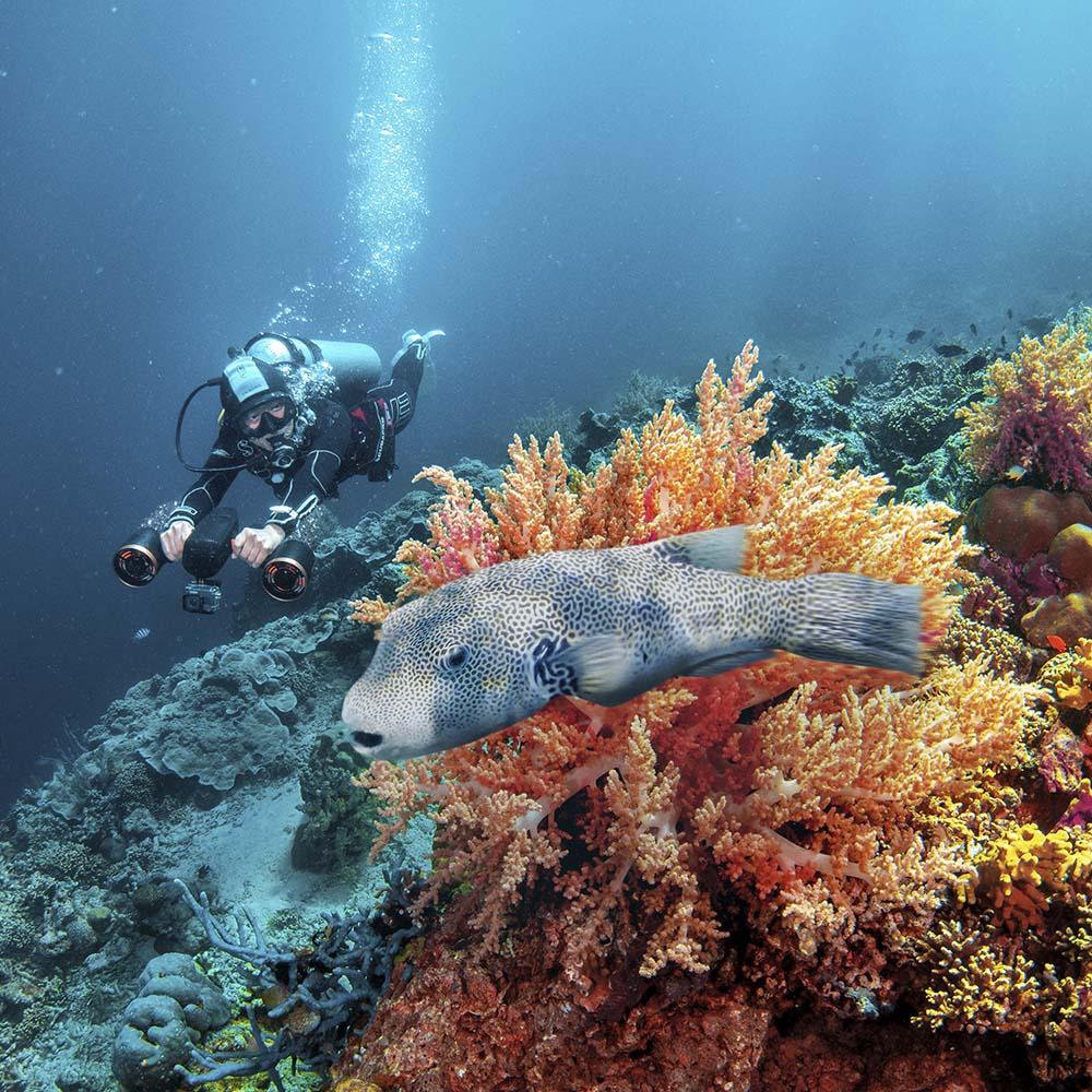 Sublue WhiteShark MixPro Underwater Scooter Lifestyle in the Ocean