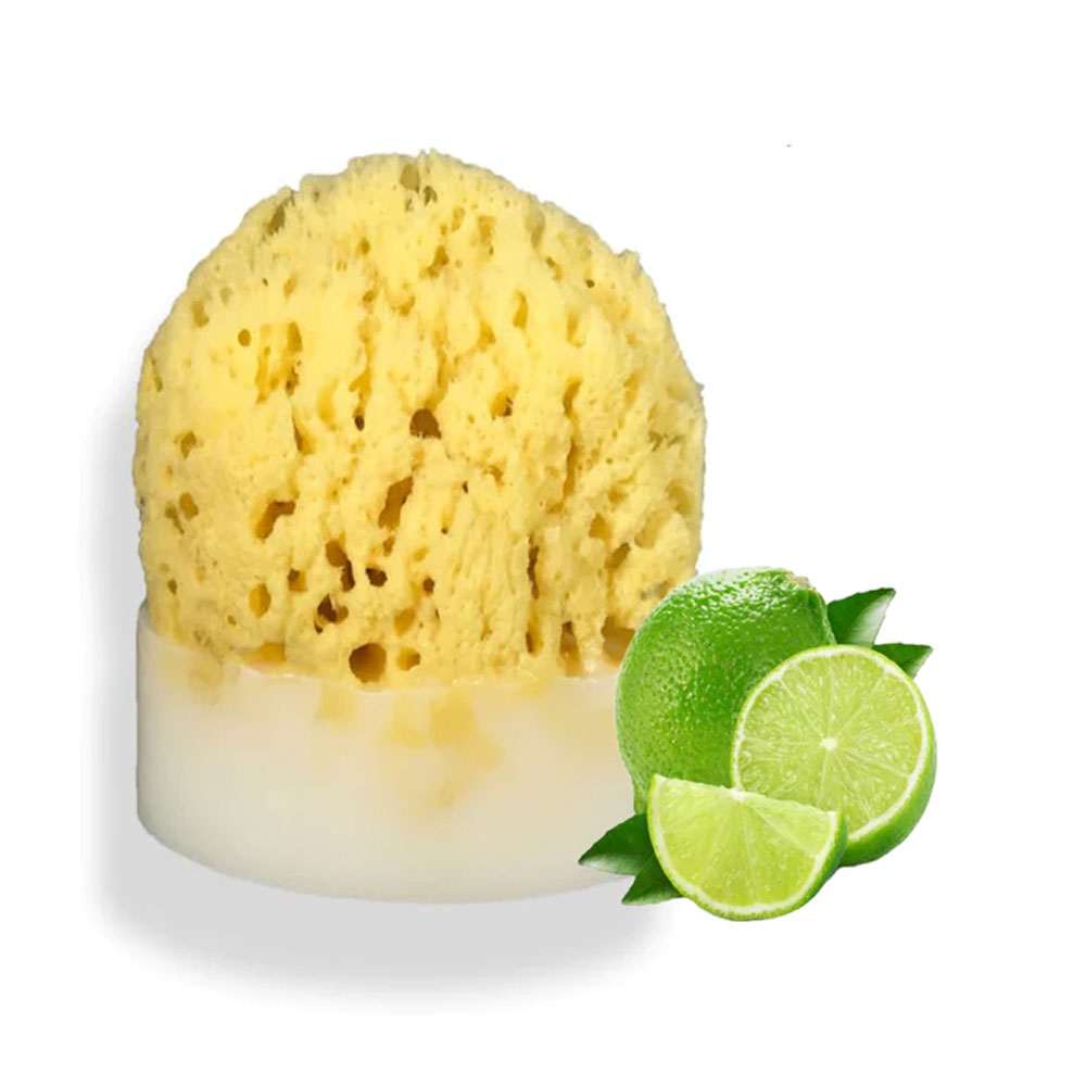 Splash Soap Company Sea Sponge Soap - Key Lime