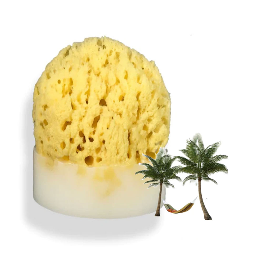 Splash Soap Company Sea Sponge Soap - Caribbean Escape