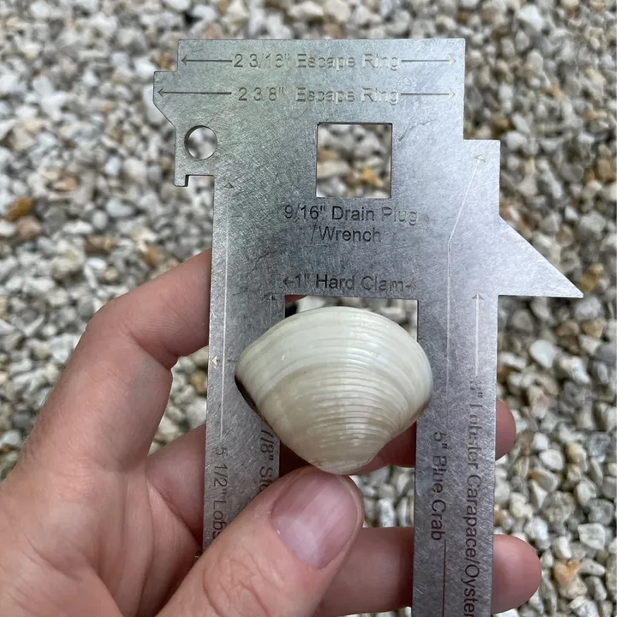 Ultimate Shellfish Gauge - Florida Version - Clam