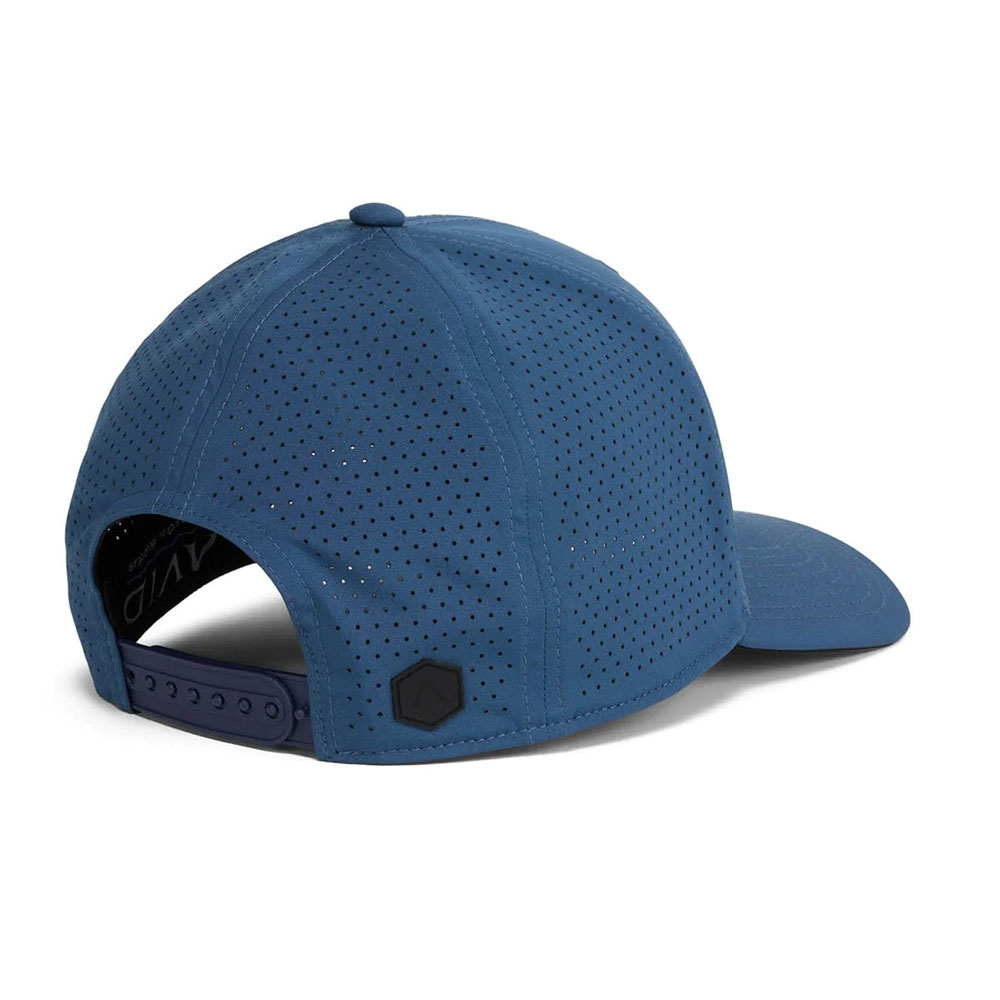 AVID Apex Performance Hat - Heather Abyss Back