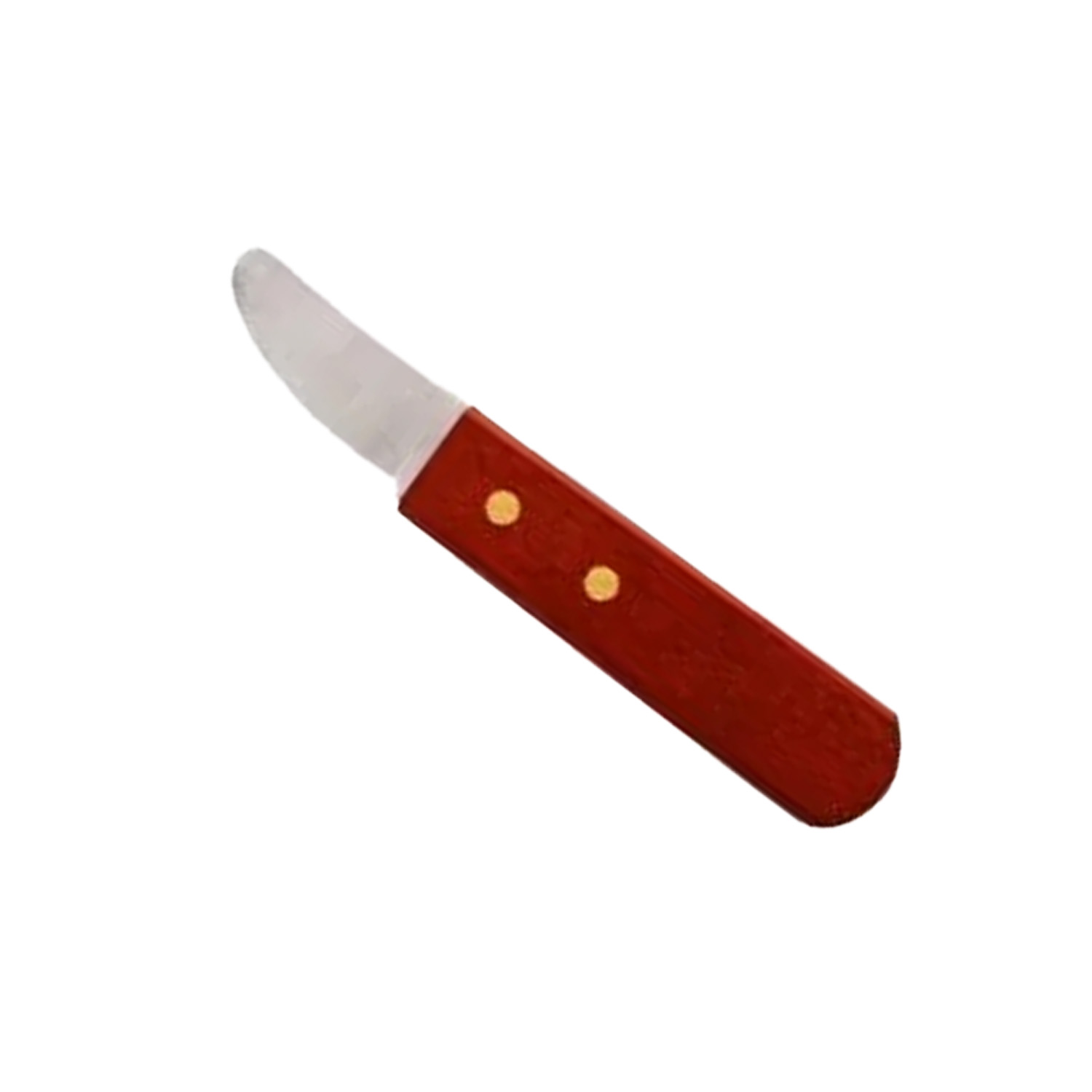 Deluxe Scallop Kit knife