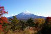 Mt. Fuji