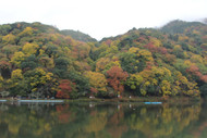 ​Autumn in Kyoto