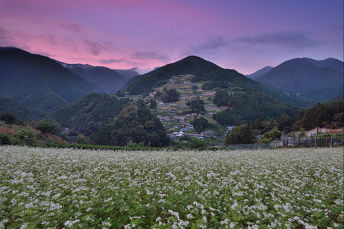 Iya Valley- Ochiai Village