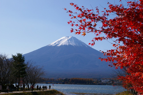 Mt. Fuji & Hakone Full Day Tour (with lunch) - Child - Nippon Travel