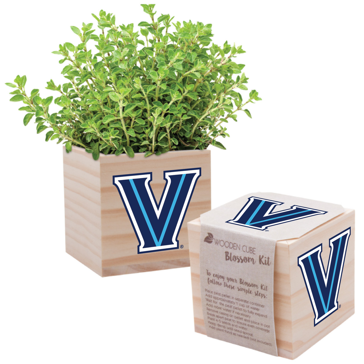 Wooden Cube Blossom Kit Neil Enterprises Neil Varsity Line