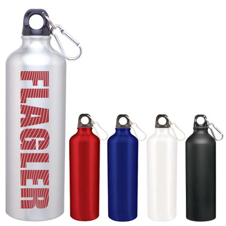 24 oz. Aluminum Classic Bottle