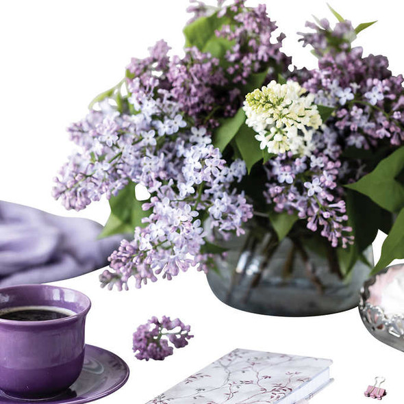 Fragrant Lilac Collection 6-pack