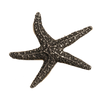 Starfish-Sm Knob