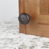 Roman 1-1/2'' Diameter Lion Head Knob