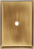 1 1/4'' x 1 7/8'' Backplate A610