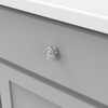 Cottage Collection Knob 1-1/4'' Diameter Stainless Steel Finish P3500-SS