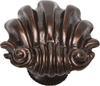 Aphrodite large shell knob 345-22