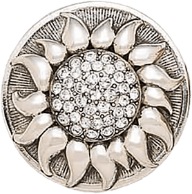 Finish-Burnished Silver Plate