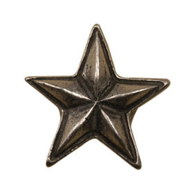 Star-Lg Knob