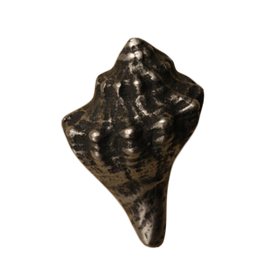 Conch Shell-Sm Knob