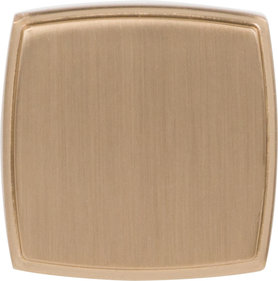 Renzo 1-1/4'' Diameter Square Knob 141SBZ