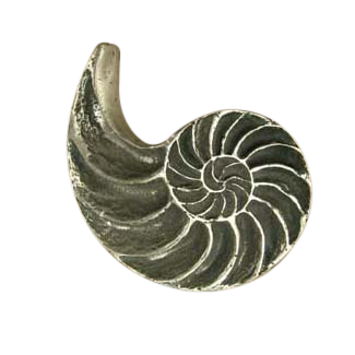 Nautilus Knob