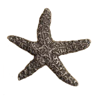 Starfish-Med Knob
