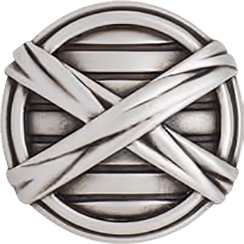 Berkley Knob, Matte Silver Finish 9862MS