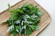 The Benefits of Mugwort in Skincare