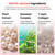 GROWUS Damage Therapy No-Wash Treatment EX – Ingredients
