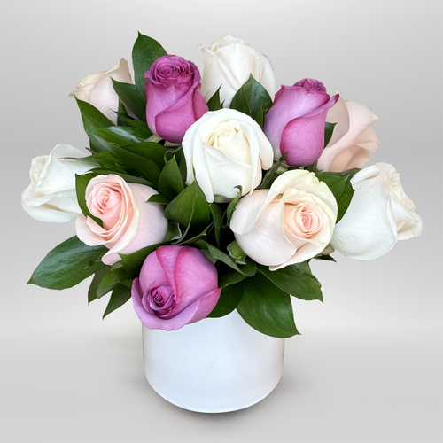 Rose Blush