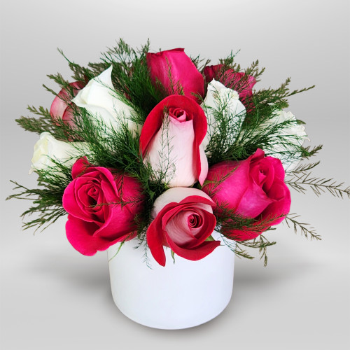 Rose Blush