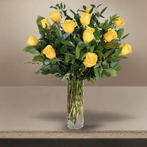 1 Dozen Roses (+colors)