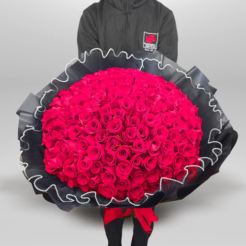 Royal 200 Collection