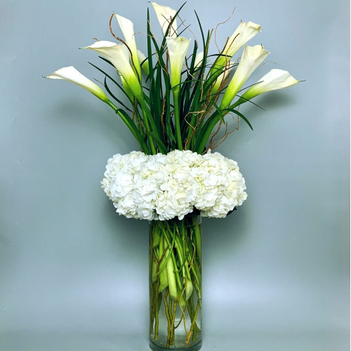 Calla Purity