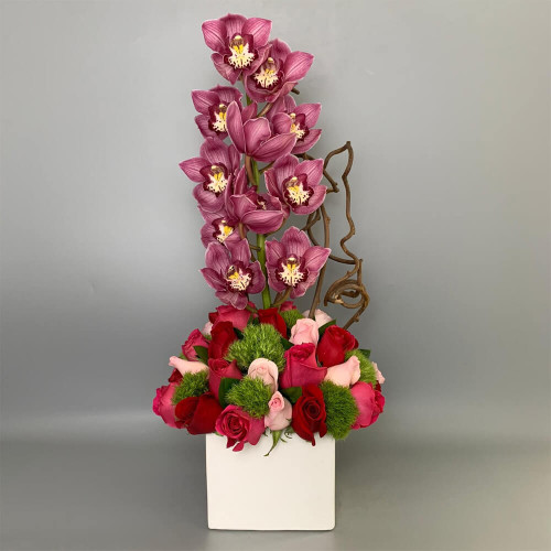 Lovely Orchid