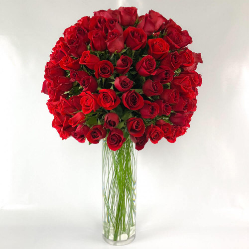 Endless Love Red Roses