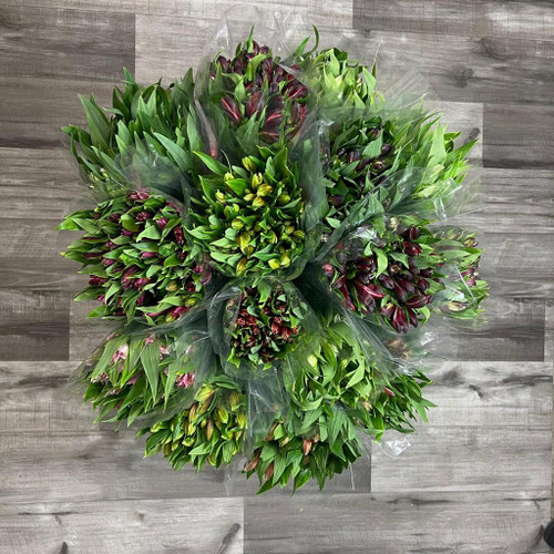 Alstroemeria Assorted Box 150 Stems