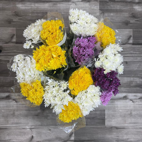 Daisy Assorted Box 140 Stems