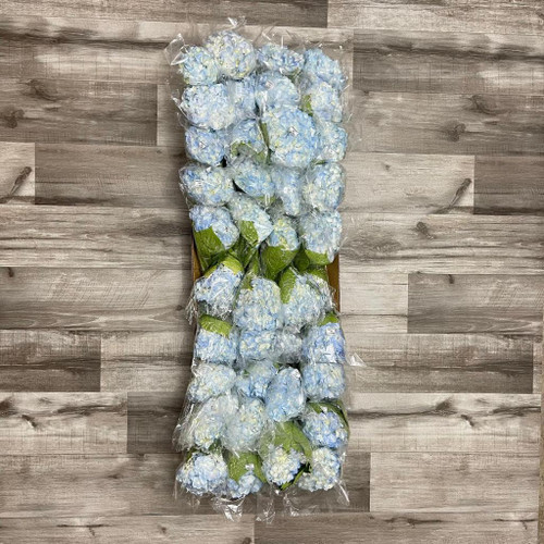 Hydrangea Blue Box 40 Stems
