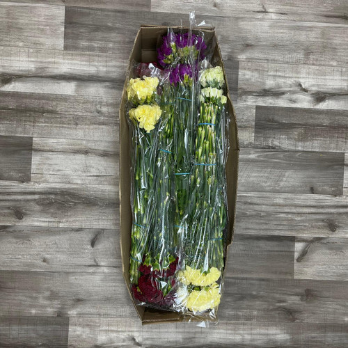 Carnation Assorted Box 216 Stems