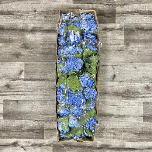 Hydrangea Shocking Blue Box 40 Stems