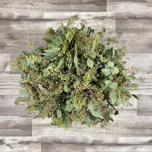 Eucalyptus Seeded Box 25 Bunches