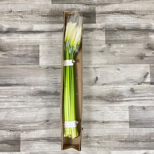 Calla Lily Box 50 Stems