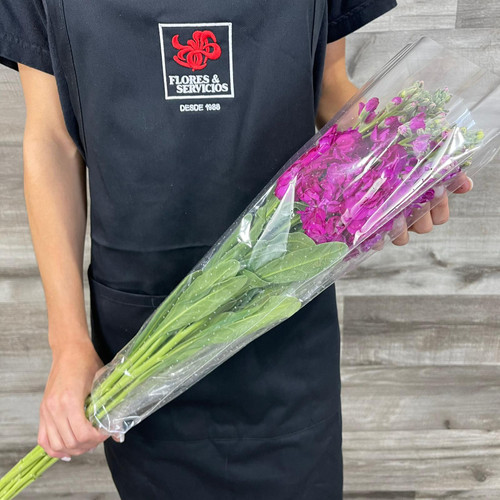 Stock Assorted Box 120 Stems