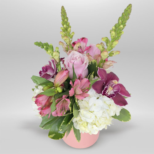 PINK PETALS