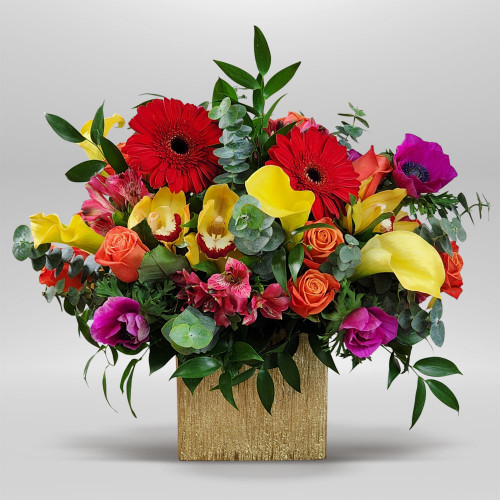 Fiesta Bloom