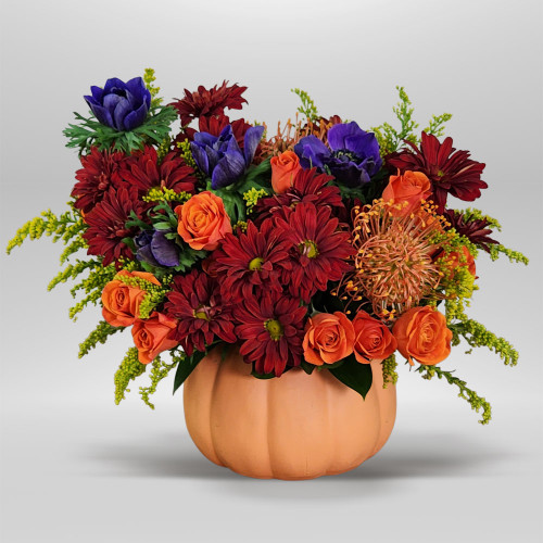 Autumn Jewel Pumpkin