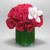 Crimson Orchid