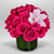 Crimson Orchid