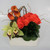 Flower Space